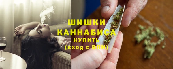 дурь Няндома