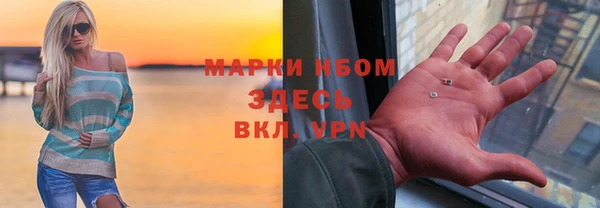 дурь Няндома