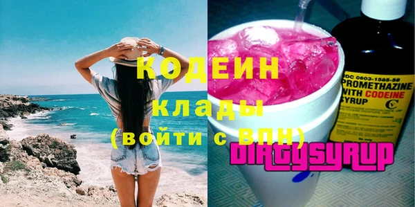 дурь Няндома