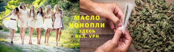 дурь Няндома