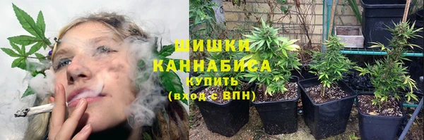 амф Нязепетровск