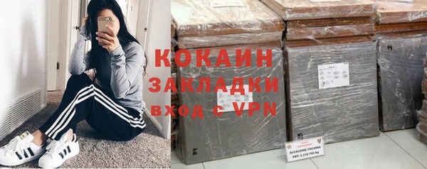 дурь Няндома