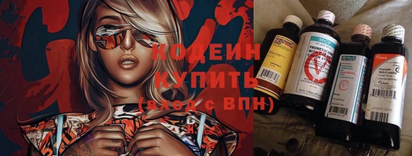 дурь Няндома