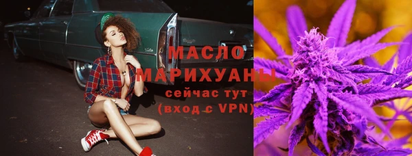 дурь Няндома