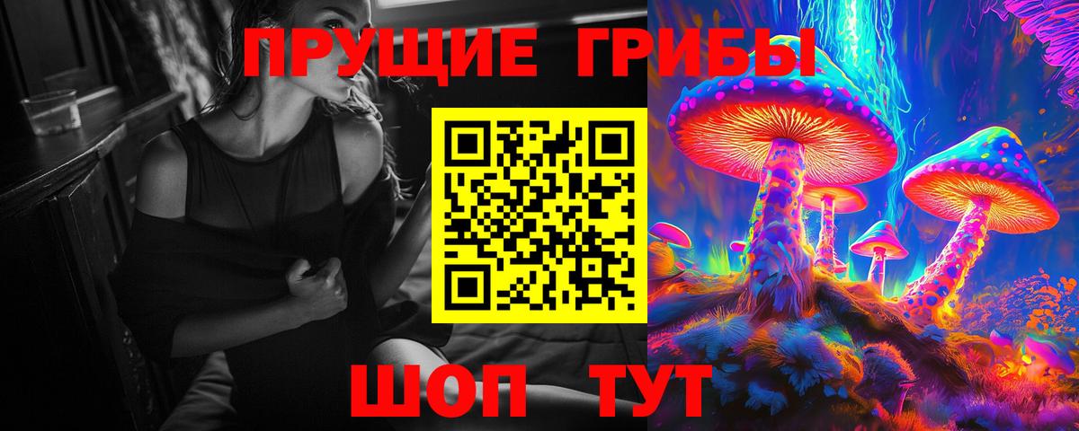 купить наркотики сайты  Вход с VPN  Анжеро-Судженск  Псилоцибиновые грибы Cubensis 