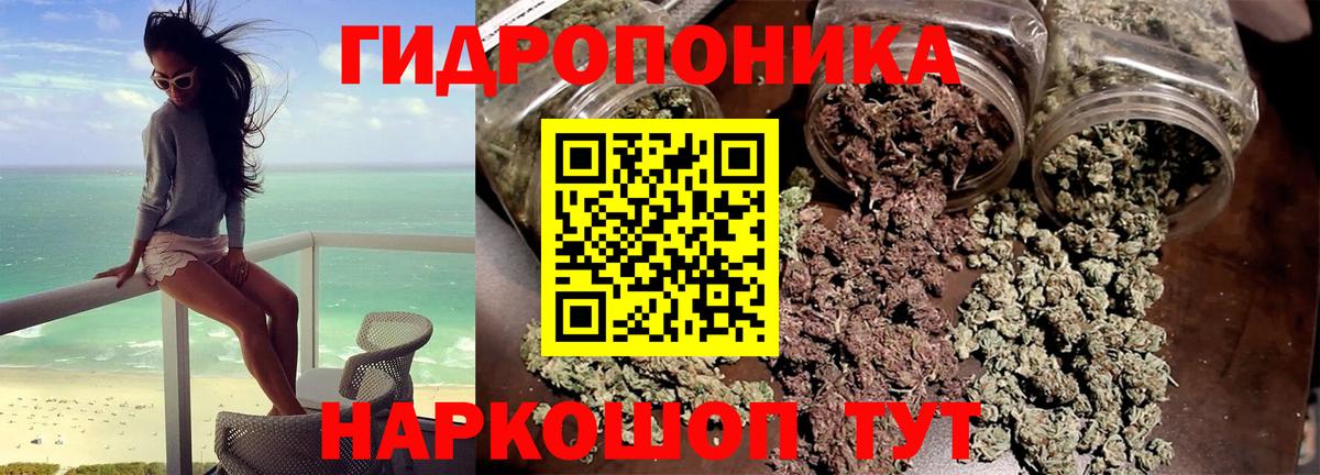 Марихуана Amnesia Анжеро-Судженск