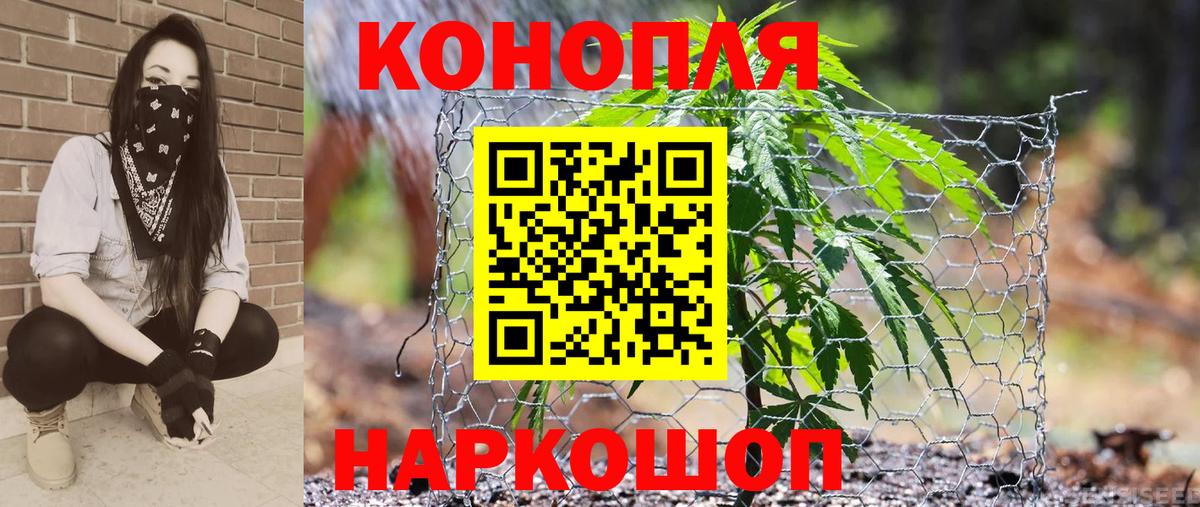 Марихуана марихуана  Марихуана Ganja  Канабис тримм  Бошки марихуана Bruce Banner  Вход с VPN  Анжеро-Судженск 